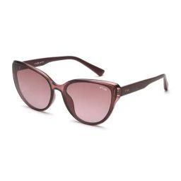 Irus Burgundy Cat Eye UV Protection Sunglasses for Women-32