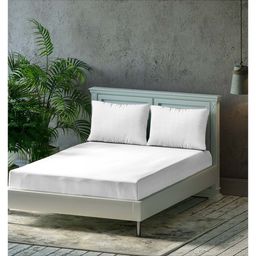 Trance Home Linen Premium Plain Pure Cotton Double King Fitted Bedsheet with 2 Pillow Cover 78 x 72 Inch- White-picture-19