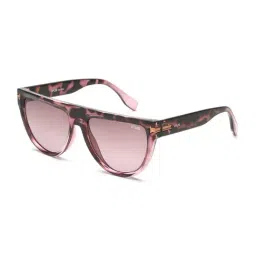 Irus Brown Pilot UV Protection Sunglasses for Women-image-69