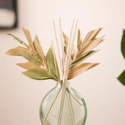 Fabindia Mehak Glass Diffuser-28