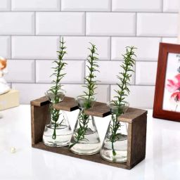 Tayhaa Transparent & Brown Glass Wooden Oraganised Vase Holder - Set of 3-image-8