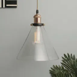 Homesake Clear Globe Shape Glass Hanging Lamp - Set of 1-38