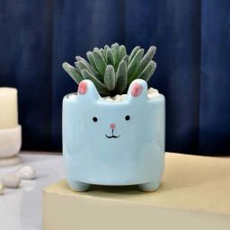 Tayhaa White & Green Ceramic Petite With Cute Cartoon Planter-26