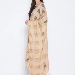 Clora Creation Checked Dupatta image 2