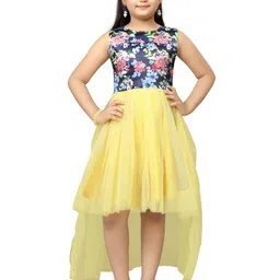 Aarika Girls Yellow & Blue Floral Net Dress-image-25