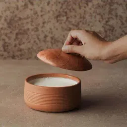 ellementry Brown Terracotta Curd Setter with Lid (500 ml) - Set of 1-10