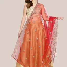 Dupatta Bazaar Red Zari Work Dupatta-image-64