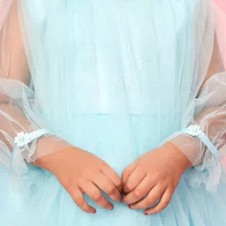 BAESD Net A-Line Dress image 3