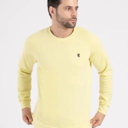 Red Tape Yellow Solid Regular Fit Sweatshirt-image-41