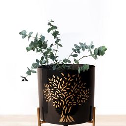 Nymph Black Flower Planters With Stand-image-83