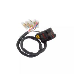 Deutsche Combination Switch for Hero Passion, Passion+ (LH), DEUS-0551A-75
