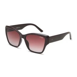 Irus Brown Cat Eye UV Protection Sunglasses for Women-image-14