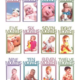 AMFIN First Year Birthday Photo Banner Monthly Photo Banner Pack of 12 - Multicolor image 5
