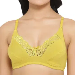 Clovia Mustard Non Wired Non Padded Full Coverage Bra-picture-27