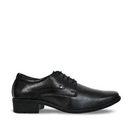 Allen cooper Men's Black Derby Shoes-image-20
