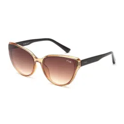 Irus Brown Cat Eye UV Protection Sunglasses for Women-image-65