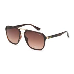 IDEE Blue Square UV Protection Sunglasses for Men-34