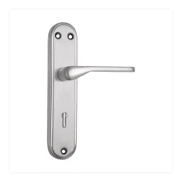 DiSS MH-Regal 2.5 Inch ‎Brass and Iron SS Finish Door Handle Set-image-94