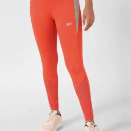 Reebok Orange Regular Fit Tights-42