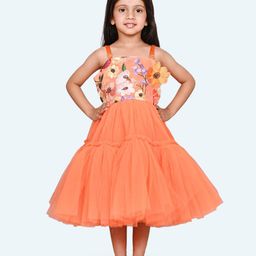 Modish Net Fit & Flare Dress-47