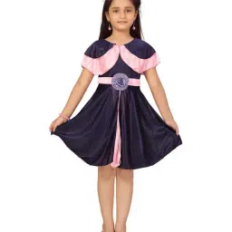 Aarika Kids Navy & Pink Applique Frock-image-84