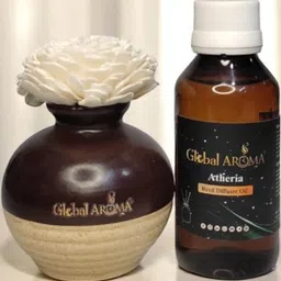 GLOBAL AROMA Atheria Fragracne Ethenic Flower Pot Reed Diffuser Set-41