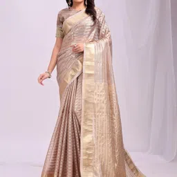 DIVASTRI Striped Zari Organza Saree-picture-17