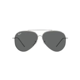 Ray-Ban Reverse  | Silver Sunglasses ( 0RBR0101S | Pilot | Silver Frame | Grey Lens )-23