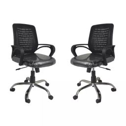 IB BASICS Executive Low Back Mesh Chair image 1