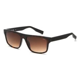 Fila Brown Square UV Protection Sunglasses for Men-image-7