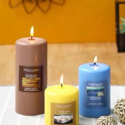 HOSLEY Multicolor Wax Pillar Candle - Set of 3-24