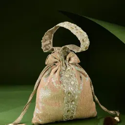 Fabindia Golden Embellished Potli-21