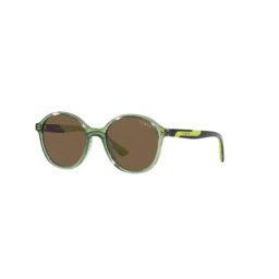 Vogue Eyewear Brown Round Unisex Sunglasses-image-47