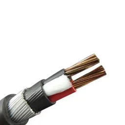 Polycab 2.5 Sq.mm 2 Core Copper Conductor Unarmoured LT Control Cable 2XY-image-17