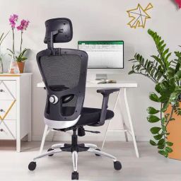 Green Soul Jupiter Superb Black Foam Ergonomic High Back Office Chair-image-61