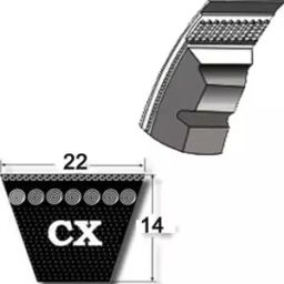Mitsuboshi CX 74 Raw Edge Cogged Belt-image-51