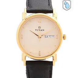 Titan Men Pink Dial Watch NH1445YL05-image-78