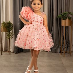 Ministitch One Shoulder Ruffled & Seamless 3D Flowers And Butterflies Embellished & Dobby Work Detailed Fit & Flare - Peach-image-7