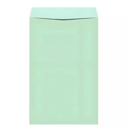 TITLE 18x14 inch Ocean Green Polynez Laminated Envelope (Pack of 50)-image-4