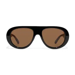ALDO Brown Aviator Sunglasses for Women-picture-18