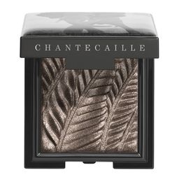 Chantecaille Luminescent Eye Shadow - 2.5g - Elephant-image-71