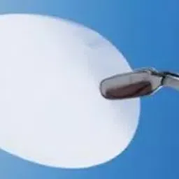 Whatman 293 mm Dia, 0.1uM Pore Size Nuclepore Hydrophilic Membrane 112805-image-60