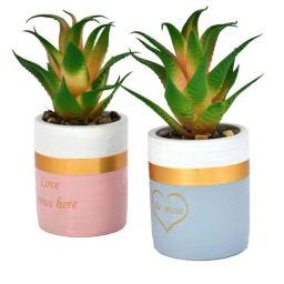 Tayhaa Multicolor Ceramic Citrus Delight Artificial Succulent With Planters - Set of 2 image 3
