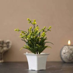 eCraftIndia Green Plastic Fiber Moth Orchid Flower Artificial Plant With Square Pot-image-60