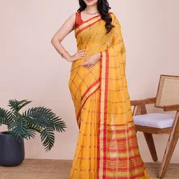 Panzora Checked Zari Border Saree-image-66