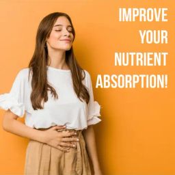 Pure Nutrition Probiotic Supplement, 50 Billion Cfu | 14 Strains Of Live Cultures - 60 Capsules image 4