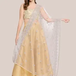 Dupatta Bazaar Grey Embroidered Dupatta-image-3