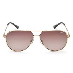 IDEE Brown Pilot Sunglasses for Men-picture-11