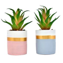 Tayhaa Multicolor Ceramic Citrus Delight Artificial Succulent With Planters - Set of 2 image 5