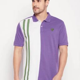 CLUB YORK Men Purple Colourblocked Polo Collar T-shirt-image-5